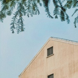 梅雨，高考，青春是一本太仓促的书