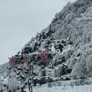 重庆，我的思念