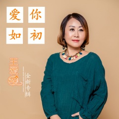 红尘不了情 (DJ版)