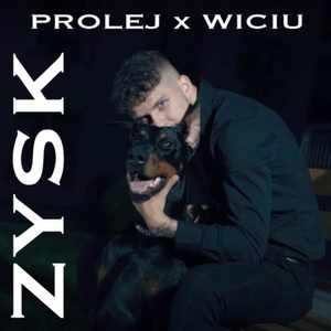 Zysk
