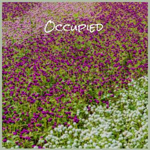 Occupied