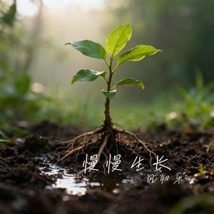 慢慢生长