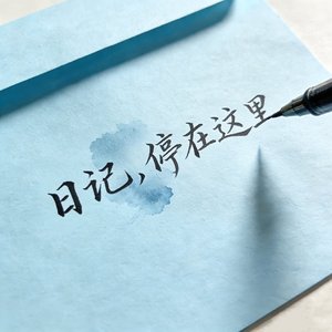 关于你的日记,我终于停下笔