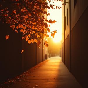 遗留在岁月的曾经