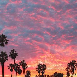 走马（抖音版）