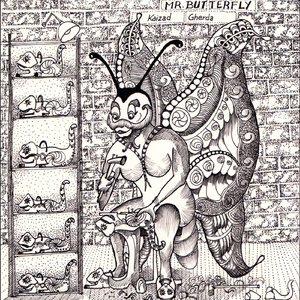 Mr. Butterfly