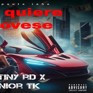 No Quiere moverse (feat. Junior TK)