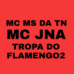 Tropa do Flamengo 2