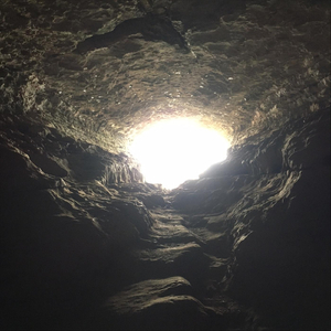 Verbose and the Terse