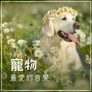 大自然的搖籃曲