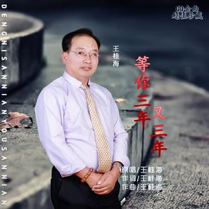 等你三年又三年（DJ沈干程版）