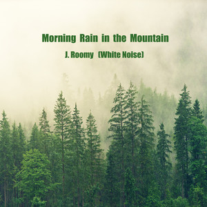 비오는 아침산 (ASMR, 집중 자장가)