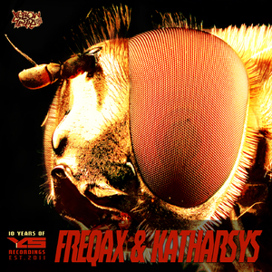 Rapture (Night Caps Version)