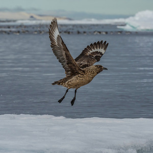 Esperar ou fazer acontecer