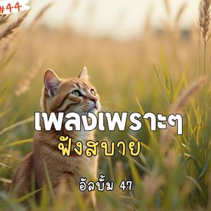 คนที่ควรลืม