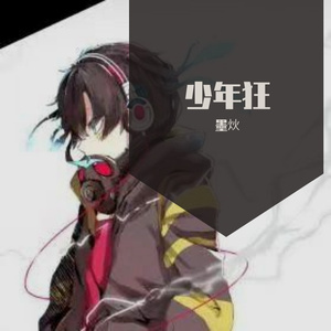 少年狂 伴奏