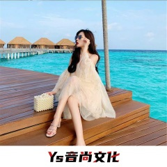 笑而不语痛而不言 (DJ版)