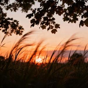 风把秘密吹进星河