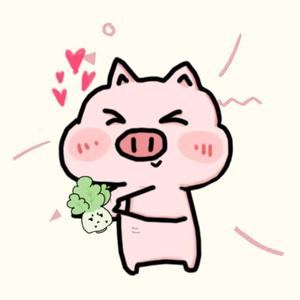 白菜爱上猪
