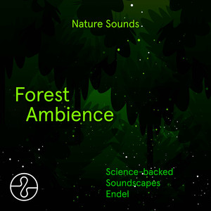 Chicks In A Nest On A Branch