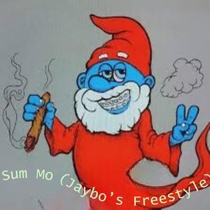 Sum Mo (Jaybo's Freestyle) (feat. Jaybo)