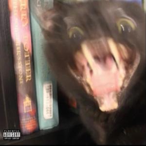 Don't blame yourself