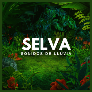 Selva: Sonidos de Lluvia (P89)