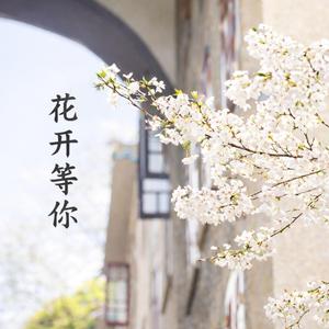 花开等你