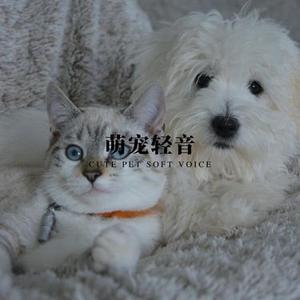 宠梦轻音 温柔哄睡