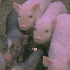 今天我只想你了一次