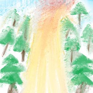 午后的竹影深林