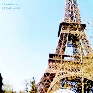 Paris, Banks of the Seine(Paris 2012)