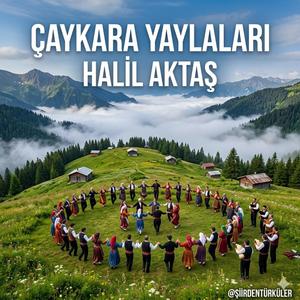 ÇAYKARA YAYLALARI