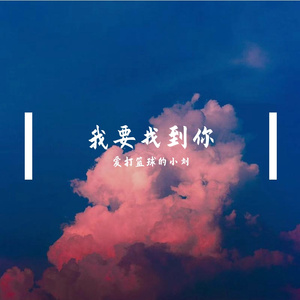 我要找到你（翻自 费启鸣）