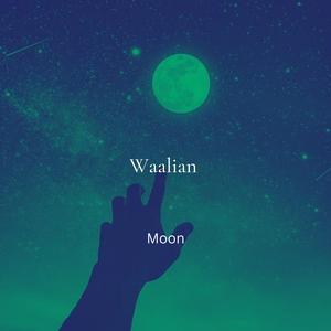 Waalian (Aesthetic)