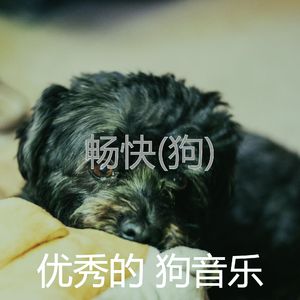 畅快(睡狗)