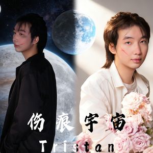 伤痕宇宙
