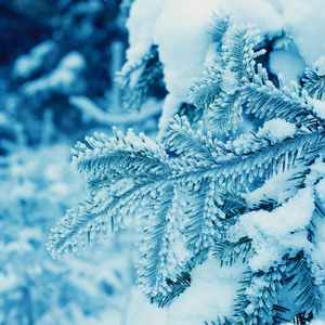 胎教音乐中期.大鱼 (钢琴)