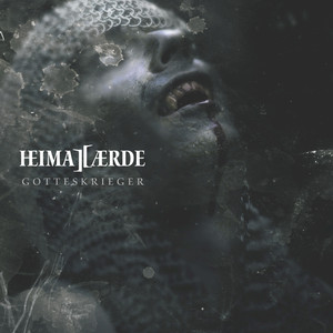 Ich Hab Die Nacht Getraeumet