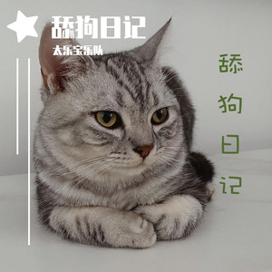 舔狗日记