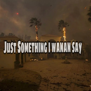 Just Somethhing I Wanna Say