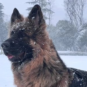 零下三十度的滚烫_20251017_093135