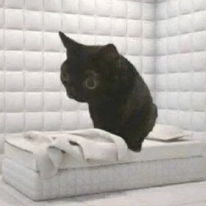 Справка (Prod. By NewWhiteBoy)