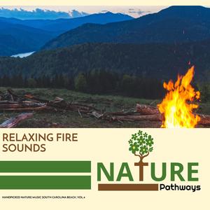 Resful Amazon Jungle