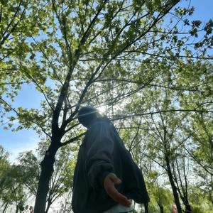 你就这样出现闯入我心里面