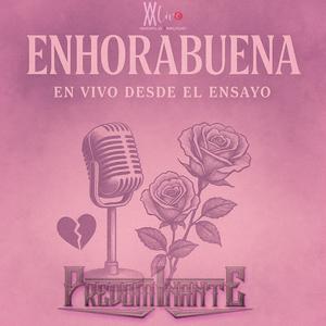 Enhorabuena