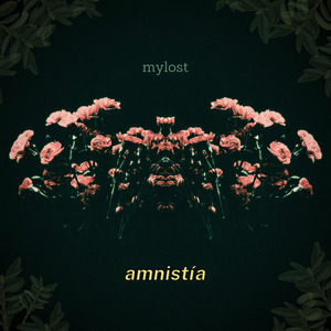 Amnistía