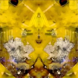 Yellow Sisi
