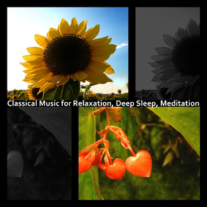 Herz und Mund und Tat und Leben, BWV 147: X. Jesu, Joy of Man's Desiring (Piano & Strings Version)