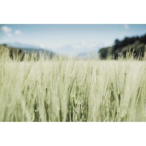 그럴때도 있었지